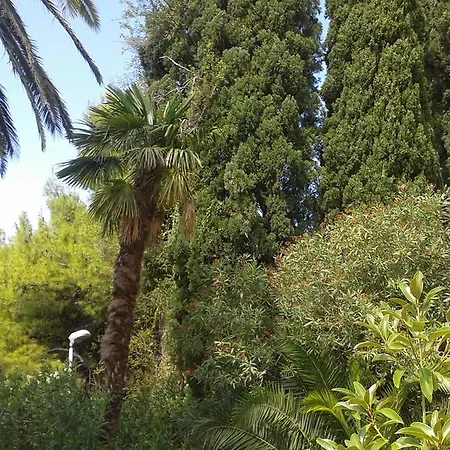 Villa Tiha Cavtat Esterno foto