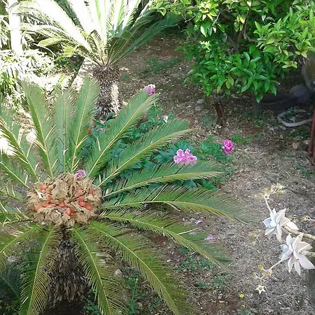 Villa Tiha Cavtat Esterno foto