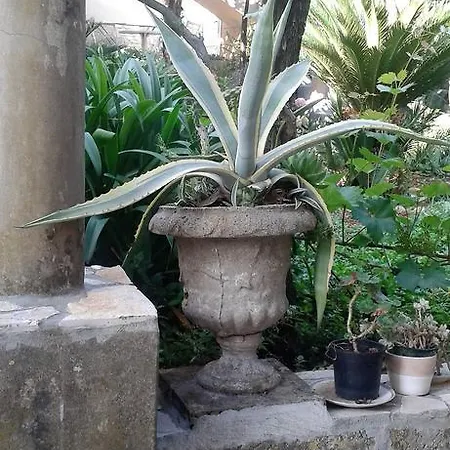 Villa Tiha Cavtat Esterno foto
