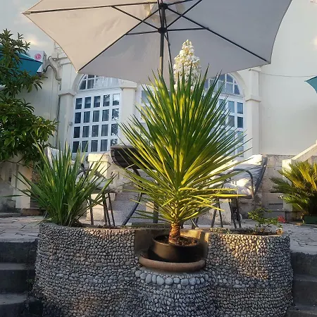 Villa Tiha Cavtat Esterno foto