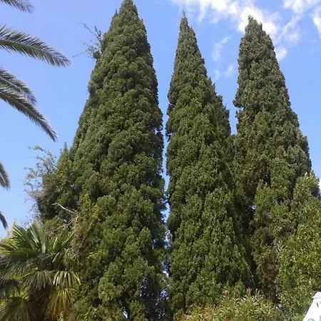 Villa Tiha Cavtat Esterno foto