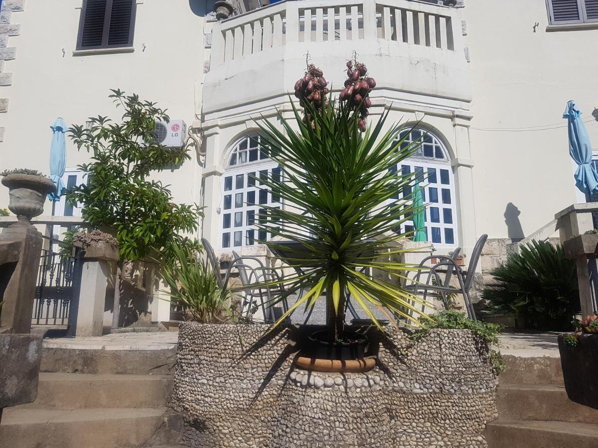 Apartment Tiha Cavtat