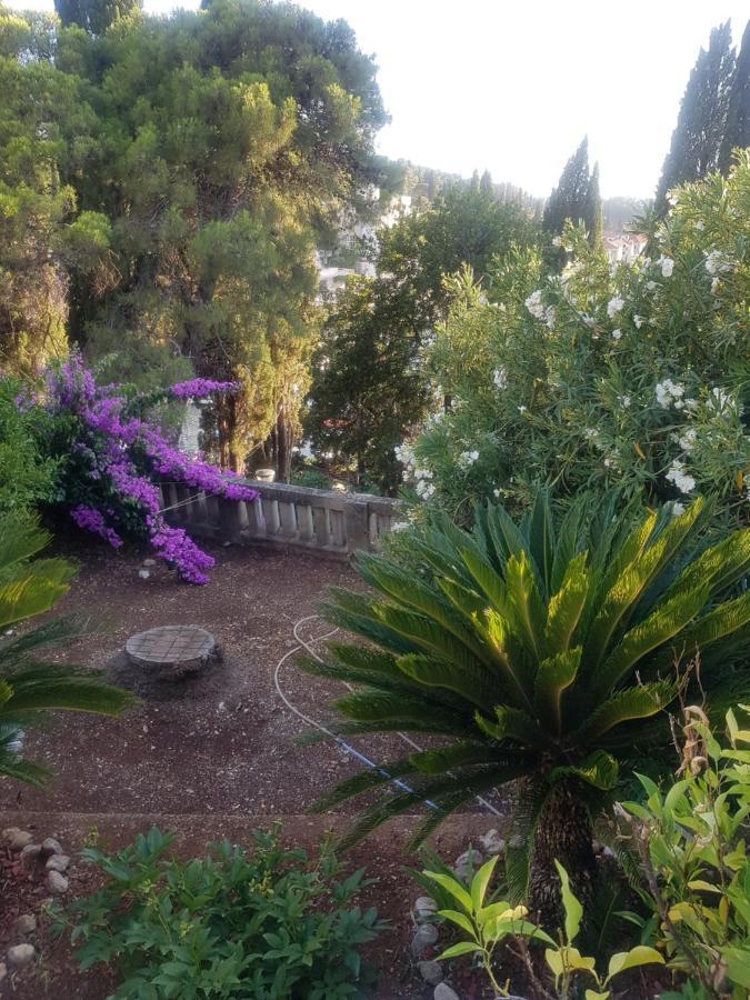 Tiha Apartment Cavtat