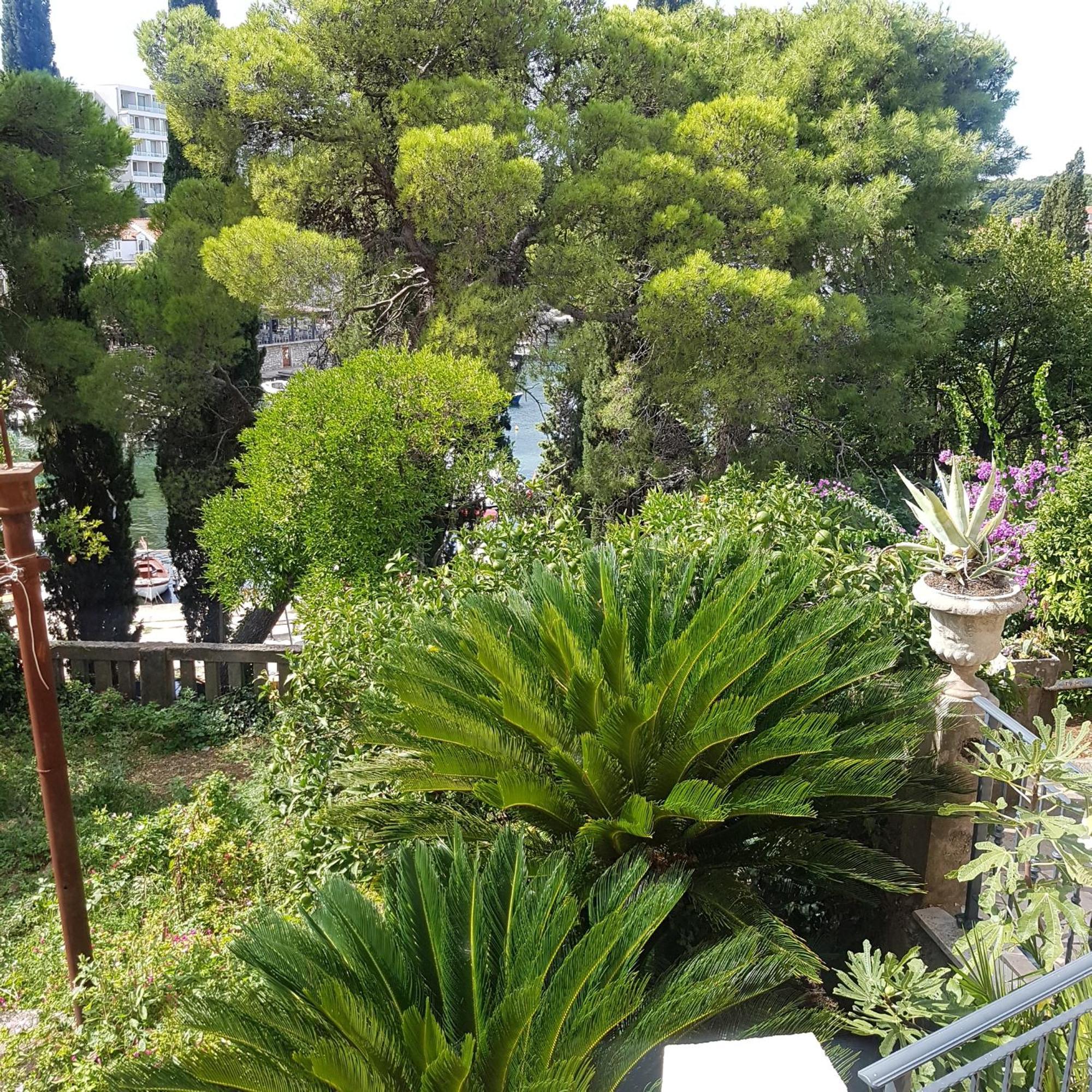 Tiha Apartment Cavtat