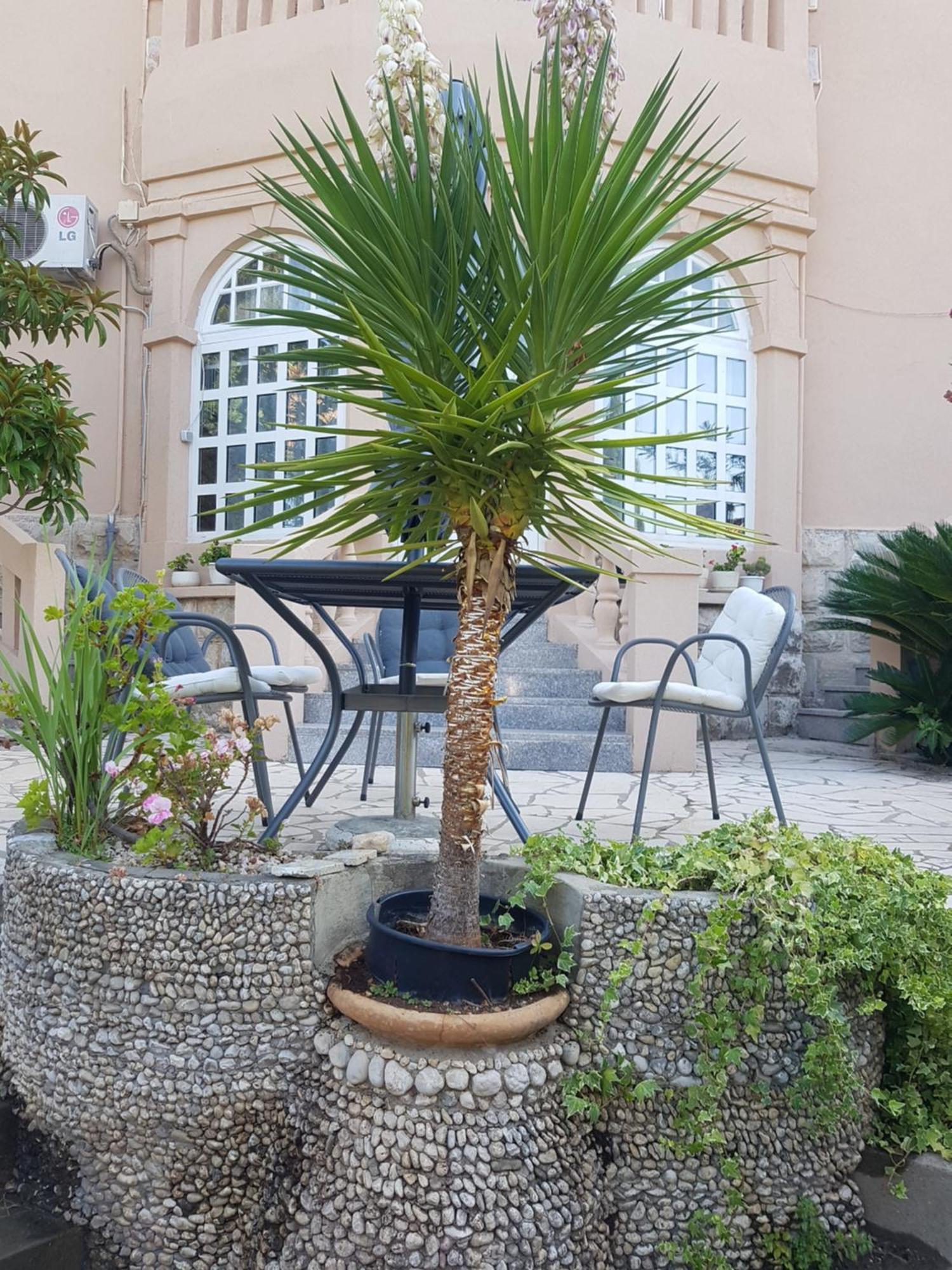 Tiha Apartment Cavtat