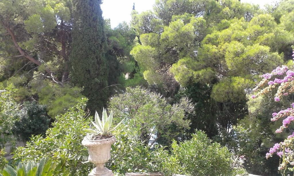 Tiha Apartment Cavtat