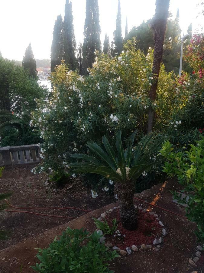 Tiha Apartment Cavtat